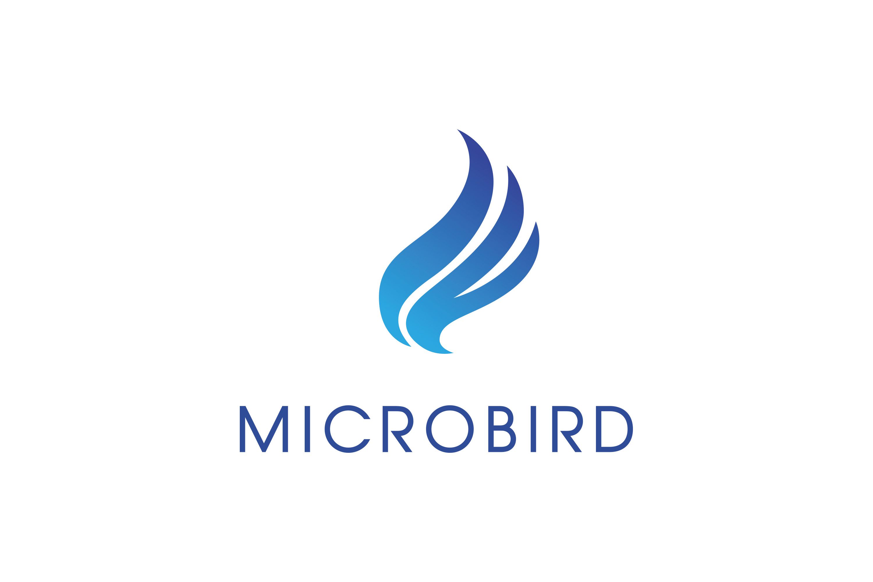 Microbird1