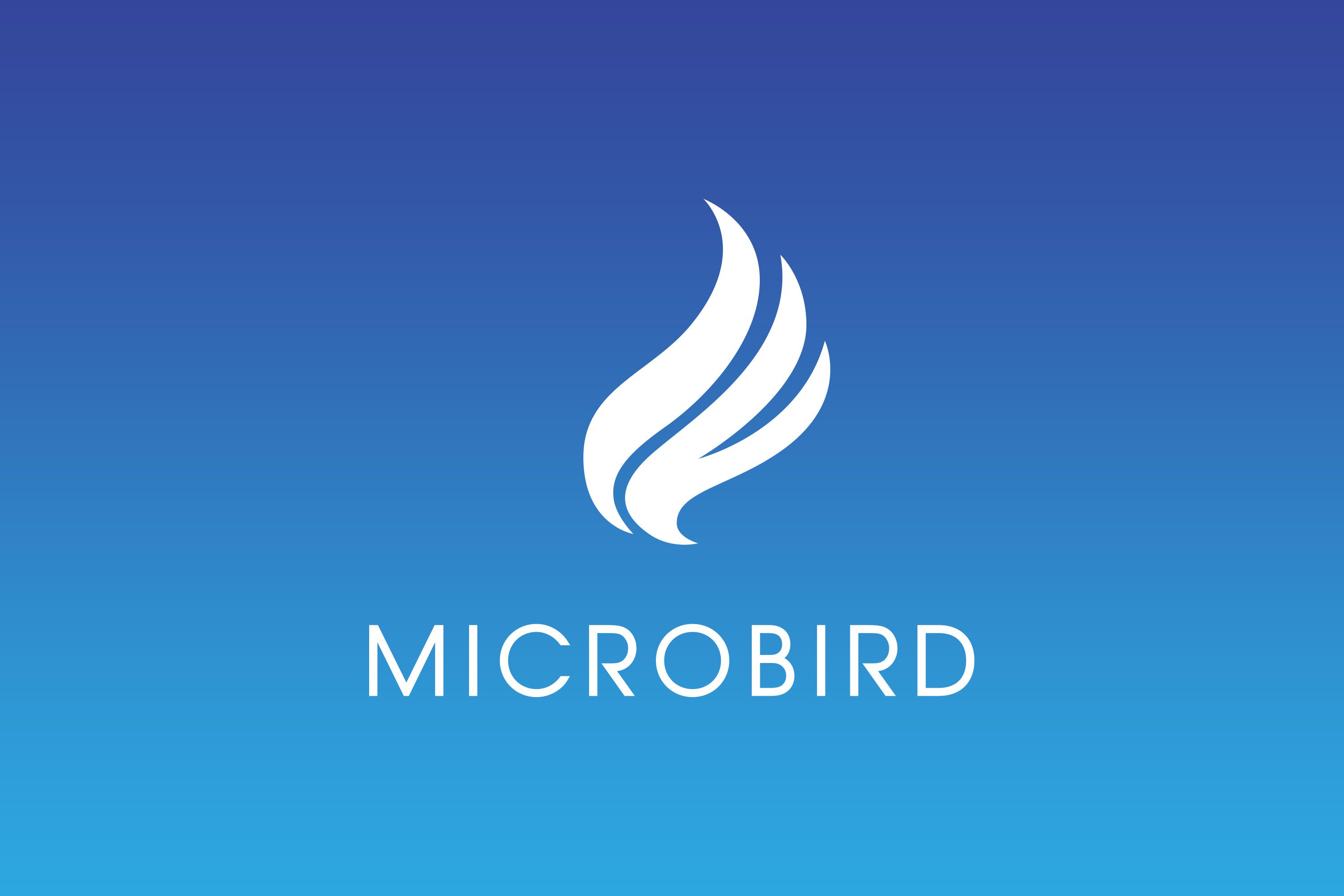 Microbird2