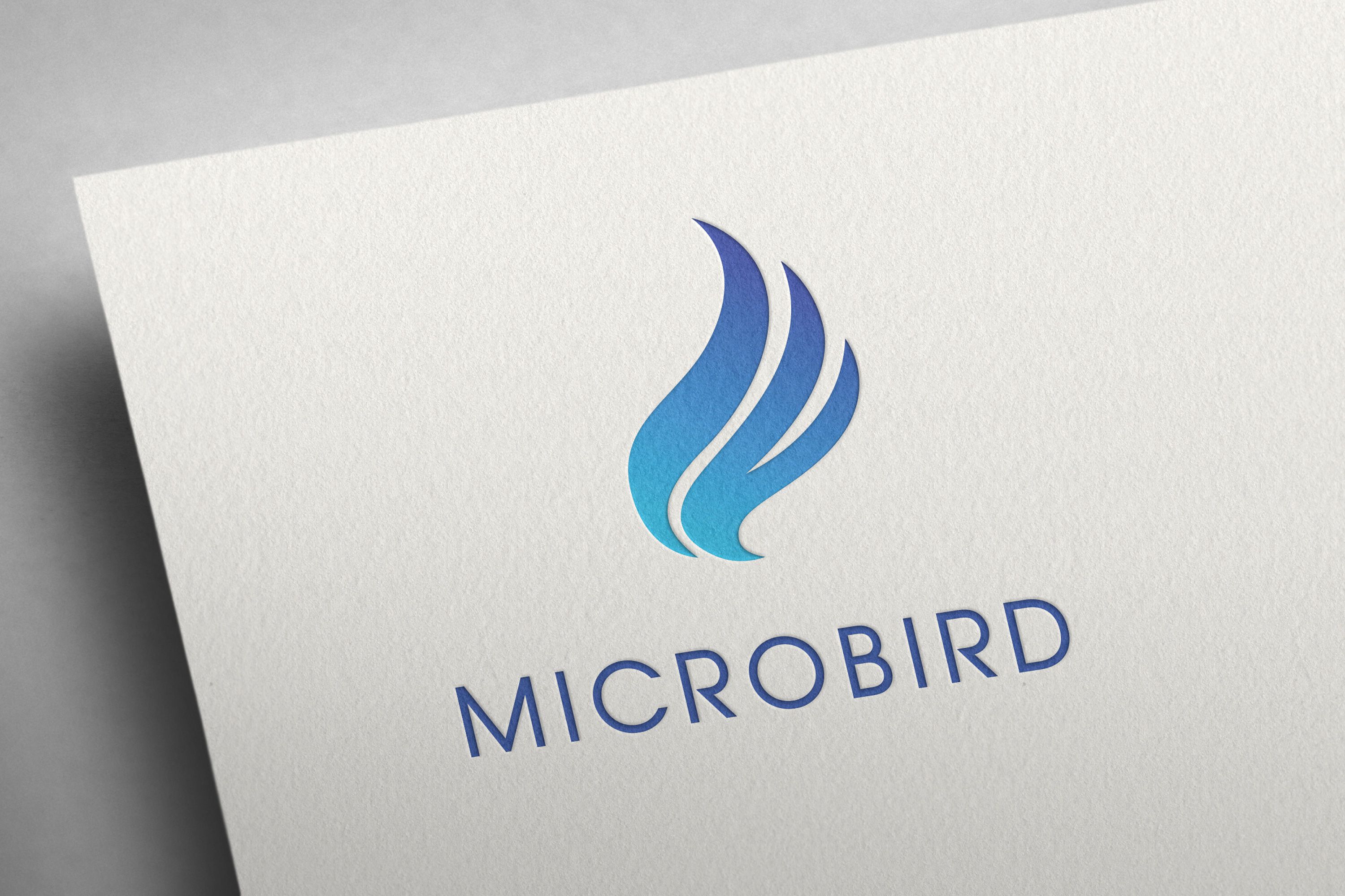 Microbird4