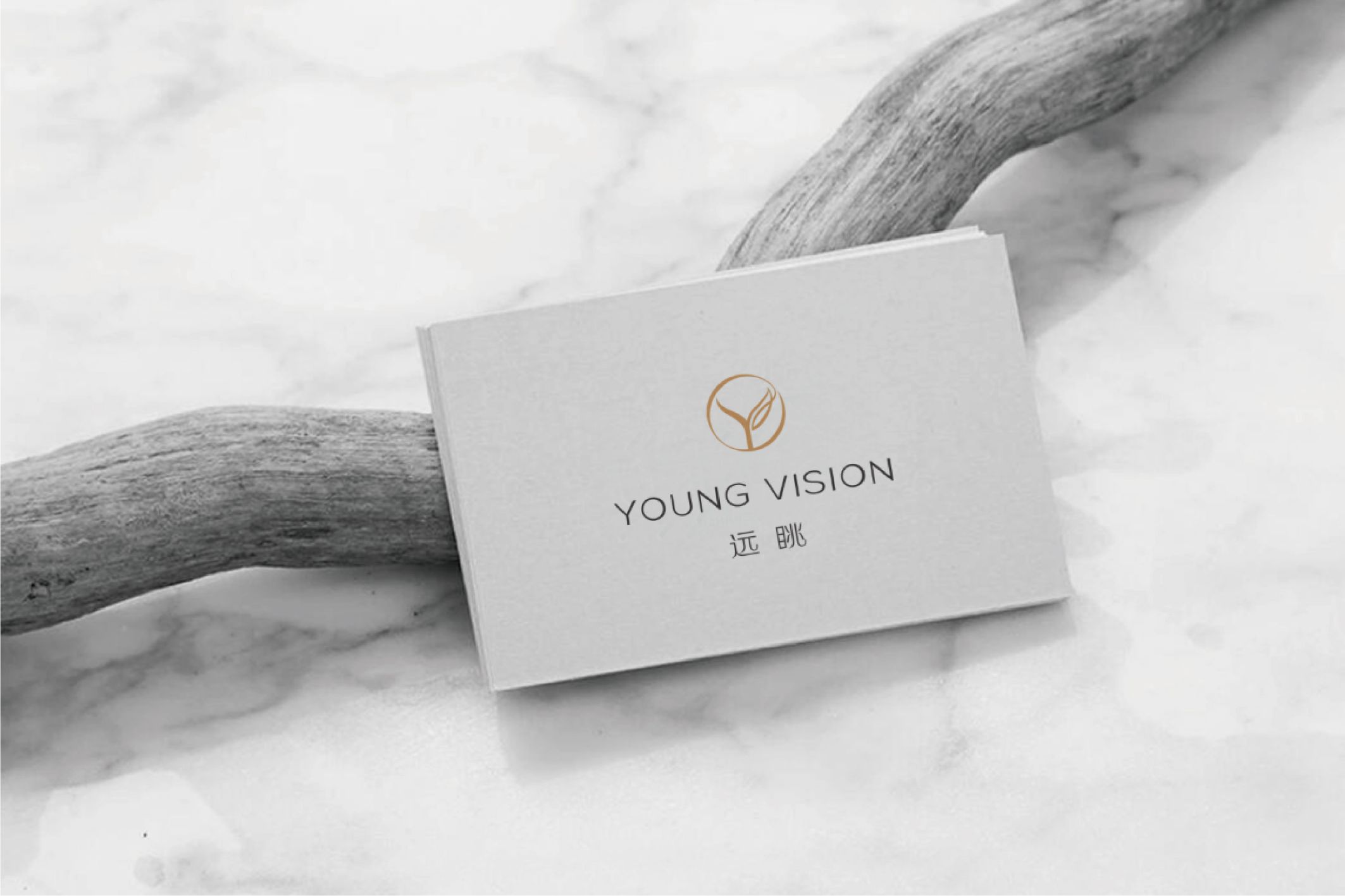 YOUNG VISION2