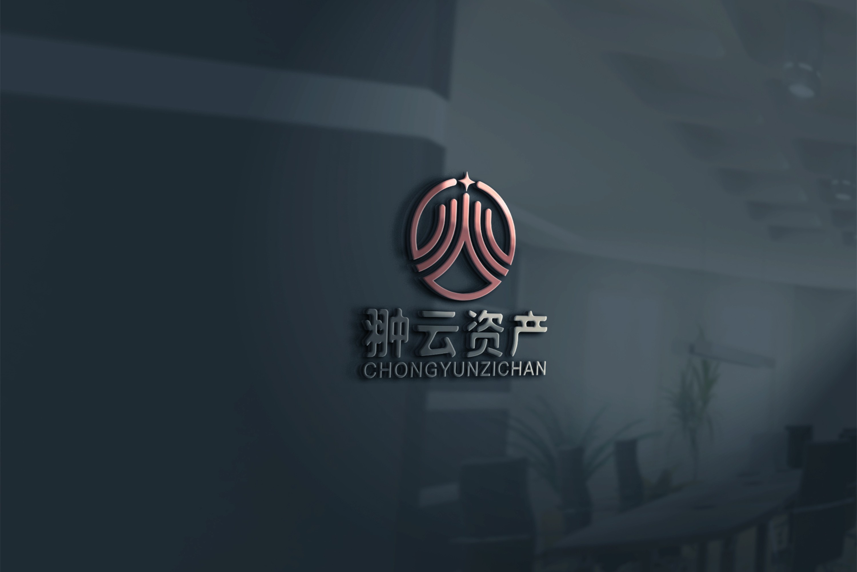 上海市翀云资产管理有限公司4